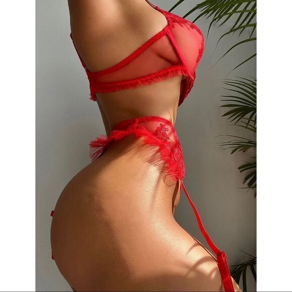 Sexy Sheer Floral Embroidered Lingerie Set - Picture 7 of 8